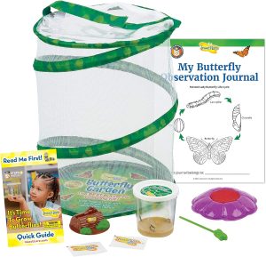 Original Habitat and Live Cup of Caterpillars with STEM Butterfly Journal - Best Stem Website for Kids