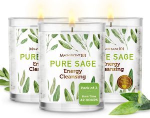 Magnificent 101 Pure Sage Smudge Candles