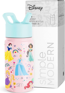 Simple Modern Disney Princesses Kids Water Bottle